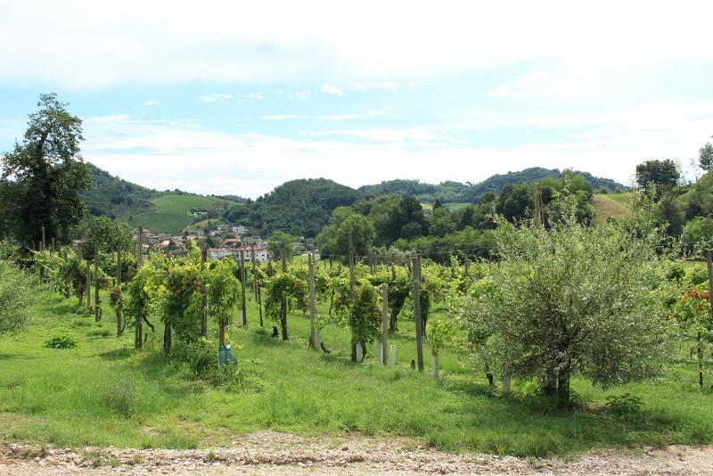 Agriturismo Mazzeracca Bassano del Grappa Exterior foto